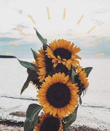 真正属于你的爱情不会叫你痛苦 爱你的人不会叫你患得患失 凡觉得辛苦的事 都是强求.