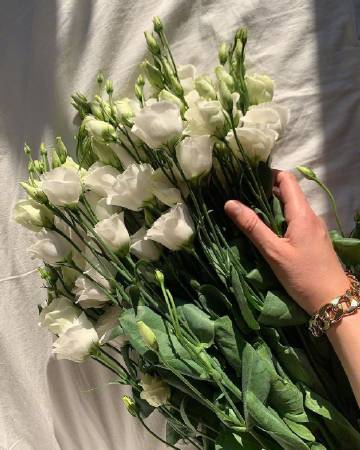 Good Morning,Have a Nice Day.???????