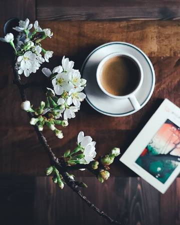 生活的仪式感 | Takashi Yasui