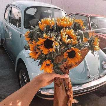 真正属于你的爱情不会叫你痛苦 爱你的人不会叫你患得患失 凡觉得辛苦的事 都是强求.