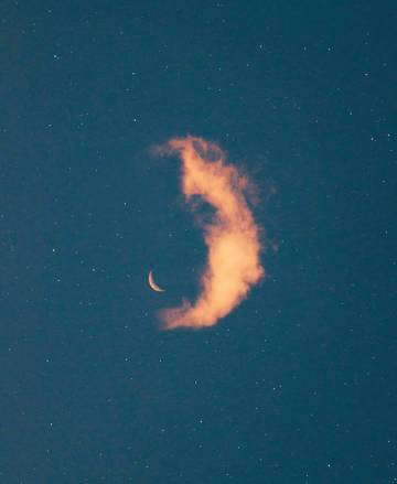 喜欢就争取 得到就珍惜 错过就忘记.✓