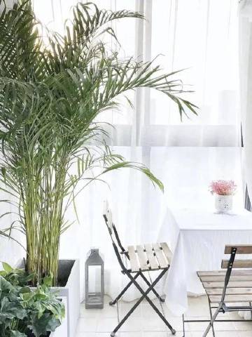 一家3口住83平，却拥有四室一厅#装修这件事#