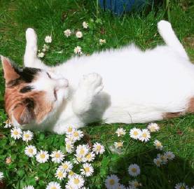 生活明朗 万物可爱