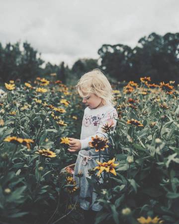 “与其终日闷闷不乐 不如积极地过好每一天”