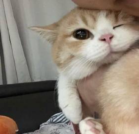 无法抵抗的可爱瞬间?