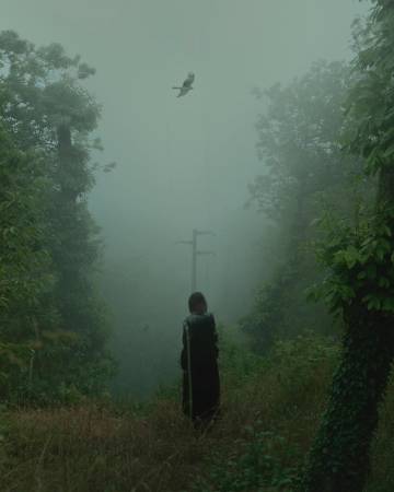 往事如梦 | Nicholas Fols