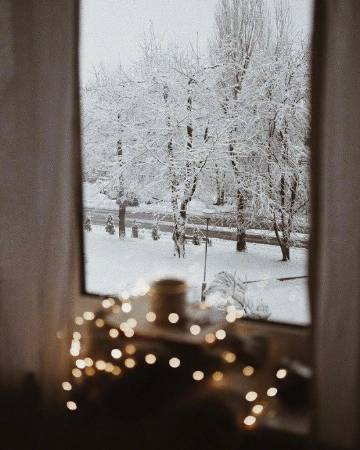 这个冬天期待每天都有好事发生❄️