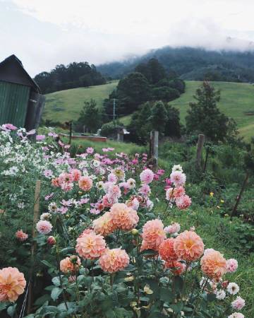 “六月初夏，所见所想都是尘世间的美好。”