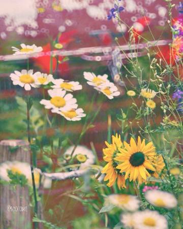 什么东西都是攒出来的：   钱是 好感是 失望也是