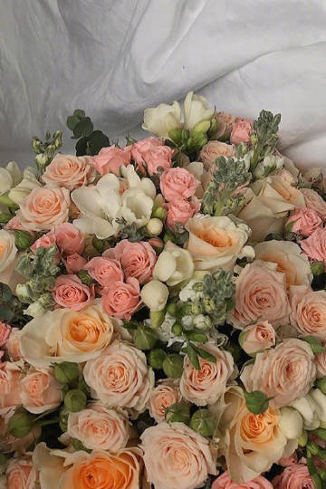 Good Morning,Have a Nice Day.???????