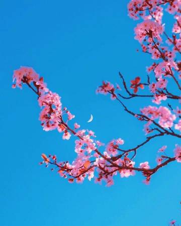 希望我不是被选择，而是被热爱。 ?