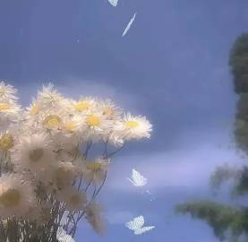 一生所求，爱与自由，你与温柔。