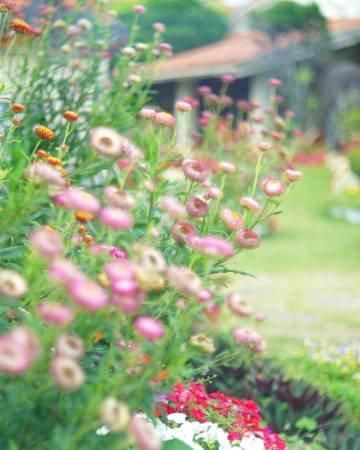 什么东西都是攒出来的：   钱是 好感是 失望也是