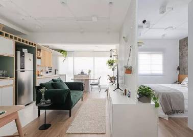 38㎡小公寓，薄荷绿+木质材料，清新美丽~ #家居装修#