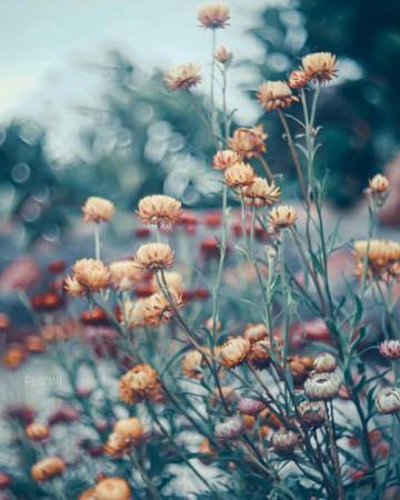 什么东西都是攒出来的：   钱是 好感是 失望也是