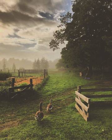 理想中的田园生活