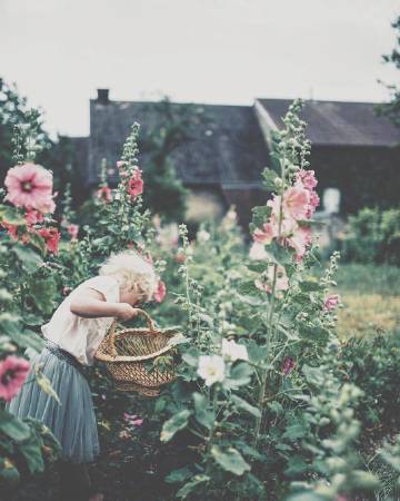 “与其终日闷闷不乐 不如积极地过好每一天”