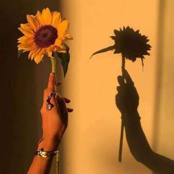 真正属于你的爱情不会叫你痛苦 爱你的人不会叫你患得患失 凡觉得辛苦的事 都是强求.