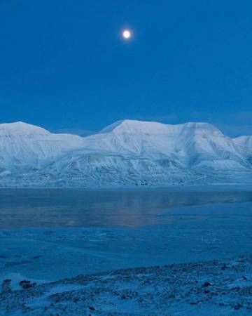 "白天有光 夜晚有星 天空有飞鸟 难得有你"