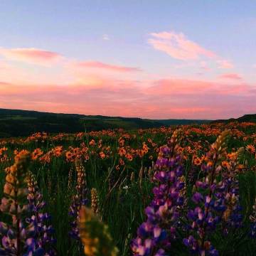 人生苦短，请停止与自己作对。——亦舒