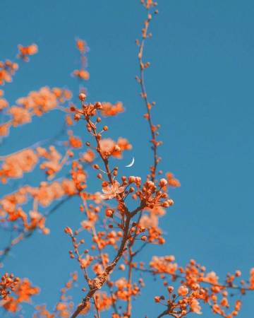 希望我不是被选择，而是被热爱。 ?