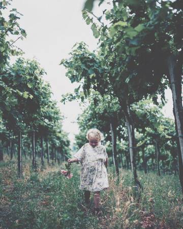 “与其终日闷闷不乐 不如积极地过好每一天”