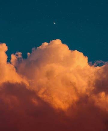 喜欢就争取 得到就珍惜 错过就忘记.✓