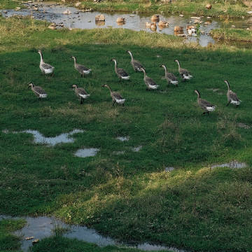 生活明朗 万物可爱