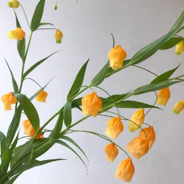 出去走走，看看不同的风景，接触不同的人和事，你会发现，你的烦恼原来是那么微不足道。