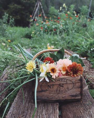 “六月初夏，所见所想都是尘世间的美好。”