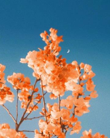 希望我不是被选择，而是被热爱。 ?