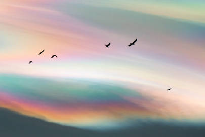 七色云彩 | Øystein Sture Aspelund