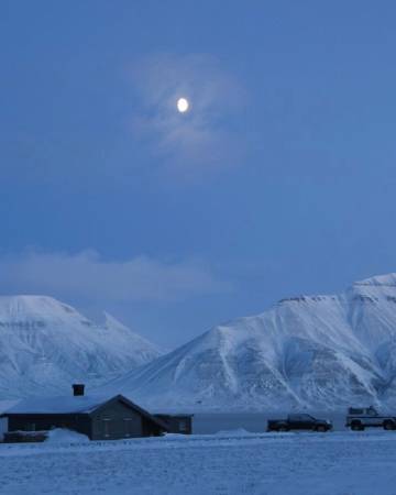 "白天有光 夜晚有星 天空有飞鸟 难得有你"