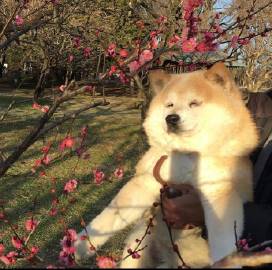 生活明朗 万物可爱