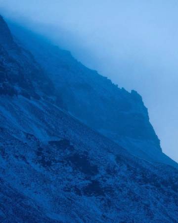 "白天有光 夜晚有星 天空有飞鸟 难得有你"