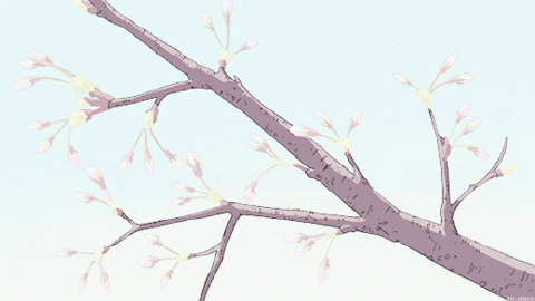 再等一等，我会和春天一起回来。