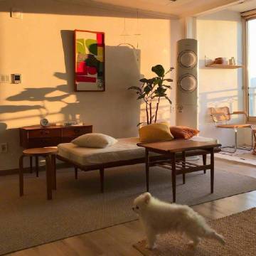 一天里最后的光