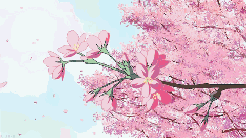 再等一等，我会和春天一起回来。