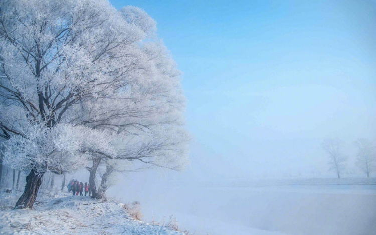 雾凇岛唯美雪景