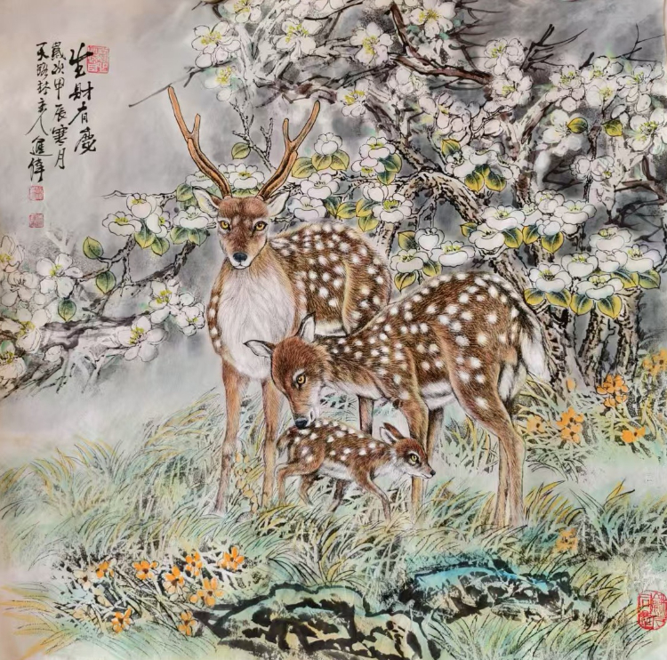 不惑人生 与狼共舞